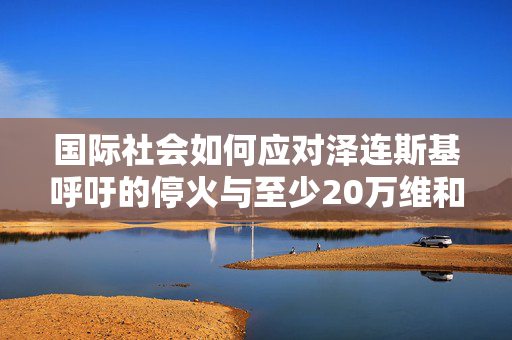 国际社会如何应对泽连斯基呼吁的停火与至少20万维和人员需求？