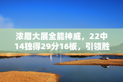 浓眉大展全能神威，22中14独得29分16板，引领胜利之舟的强大表现