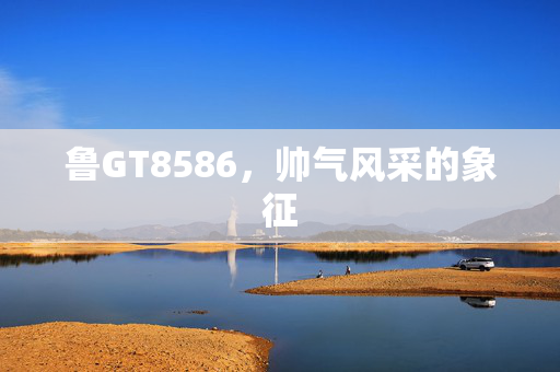 鲁GT8586，帅气风采的象征