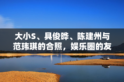 大小S、具俊晔、陈建州与范玮琪的合照，娱乐圈的友情与风采