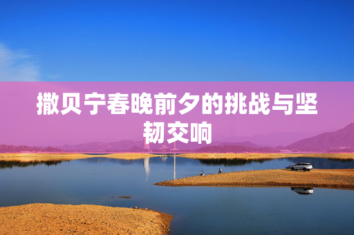 撒贝宁春晚前夕的挑战与坚韧交响