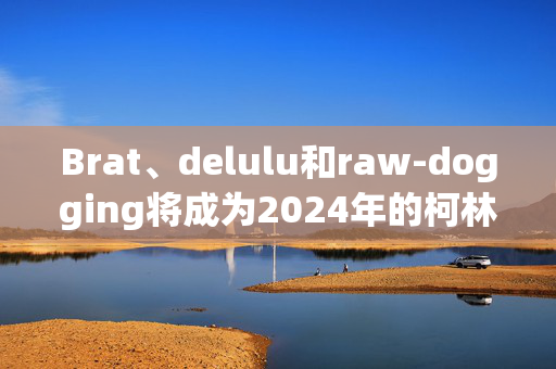 Brat、delulu和raw-dogging将成为2024年的柯林斯词典——你能解读这个Z世代俚语吗？